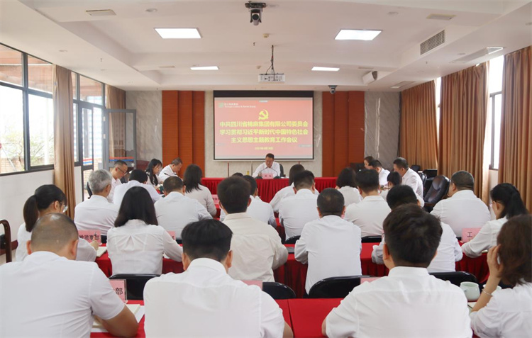 中共太阳成集团tyc234cc古天乐委员会召开学习贯彻习近平新时代中国特色社会主义思想主题教育工作会议